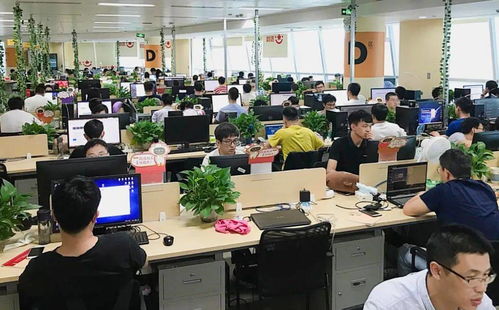 中通吉等8家區(qū)內(nèi)企業(yè)榮登2020上海軟件和信息技術(shù)服務業(yè)雙百名單