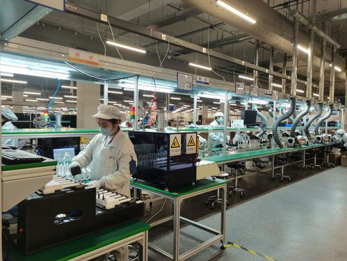 兩江新區軟件和信息服務業加速復工復產，信息服務業務迎來新發展